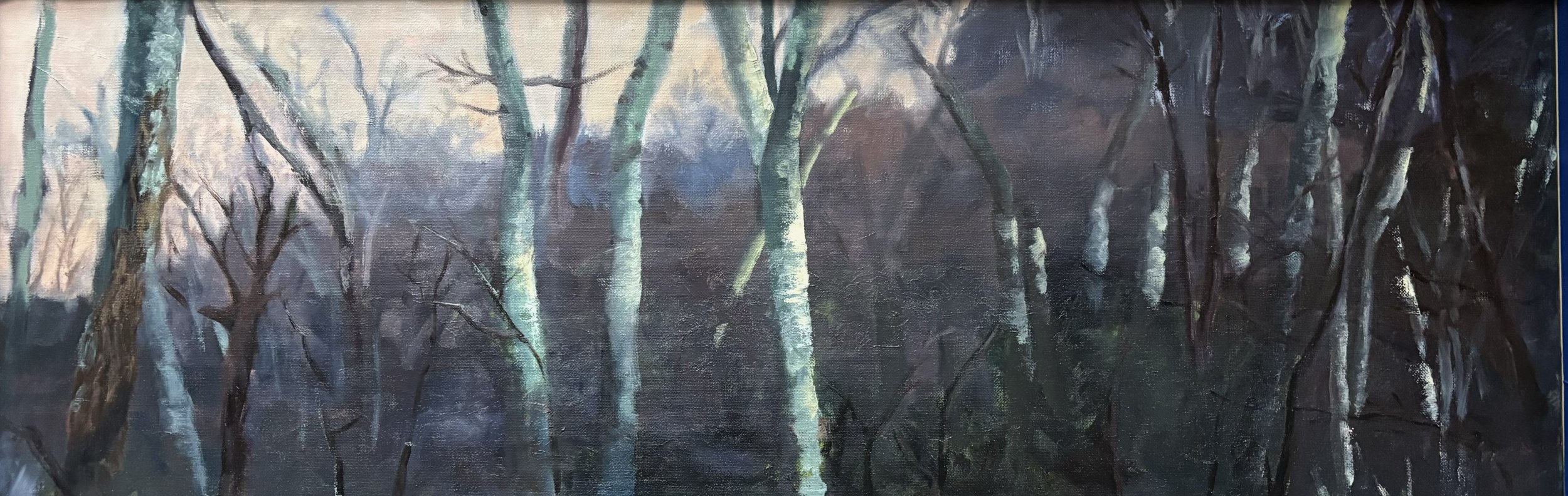 Shenandoah Winter Sunset