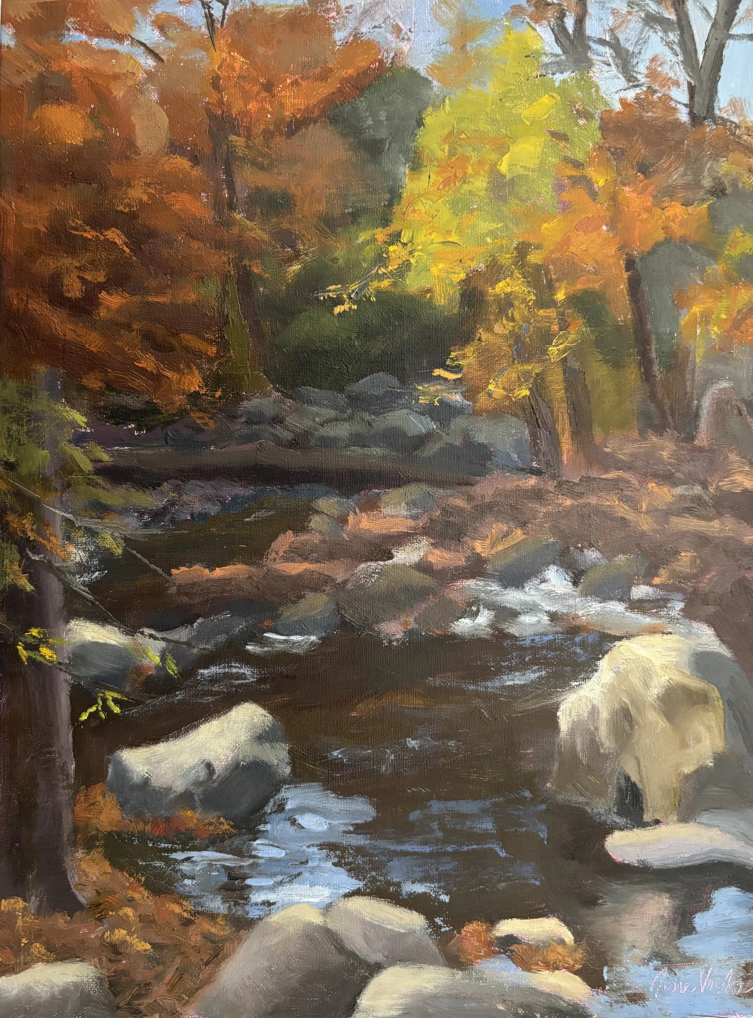 Autumn Morning-Rock Creek Park