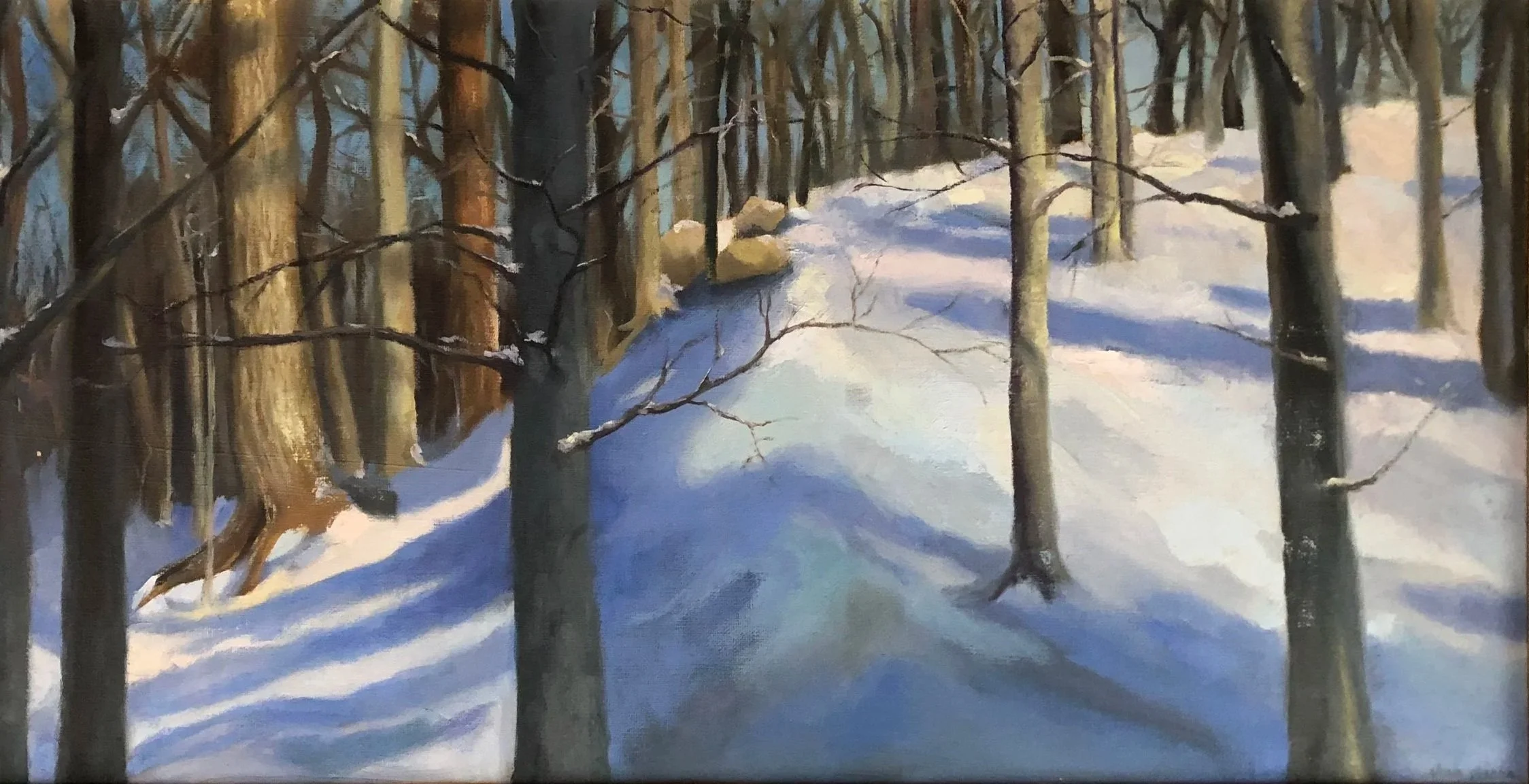 Winter Woods