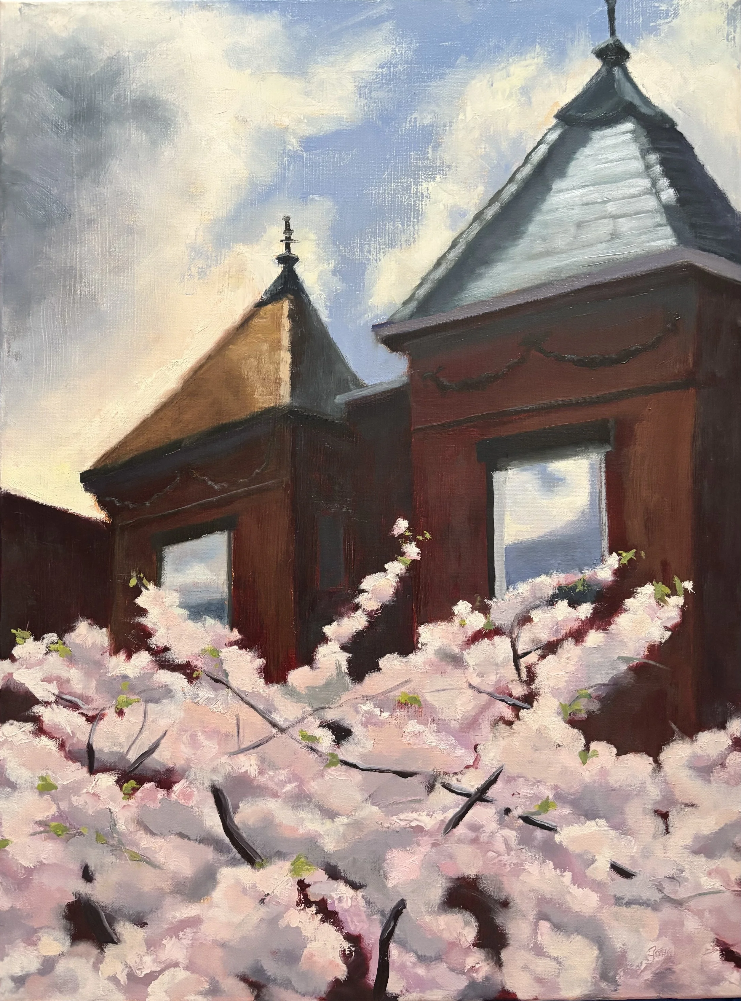 Cherry Trees on Monroe