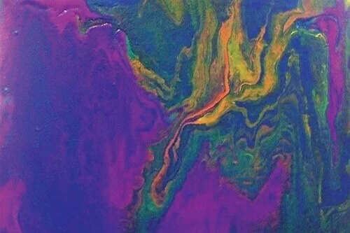 Wolf wins Artsonia contest