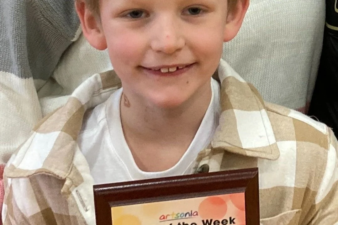 Cambridge Springs student sees art recognized on website