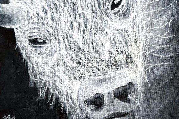 Melbourne Central Catholic High School Student Wins Artsonia’s Artist of the Week Contest