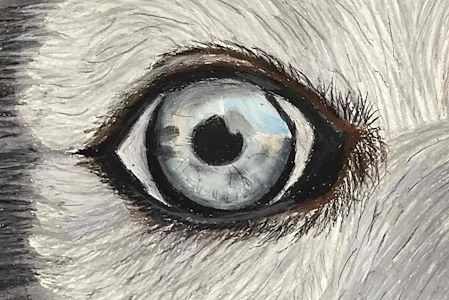 Sunrise Middle School Student Named Artsonia’s Artist of the Week