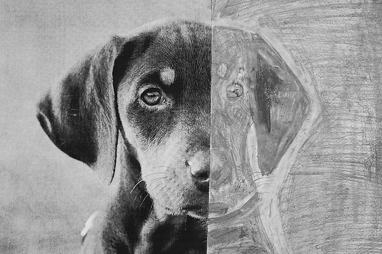 Cape Coral middle schooler named a national 'Artist of the Week'