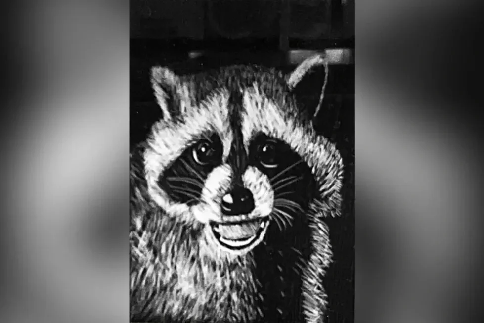 Hudson Valley Student Wins National Art Contest 