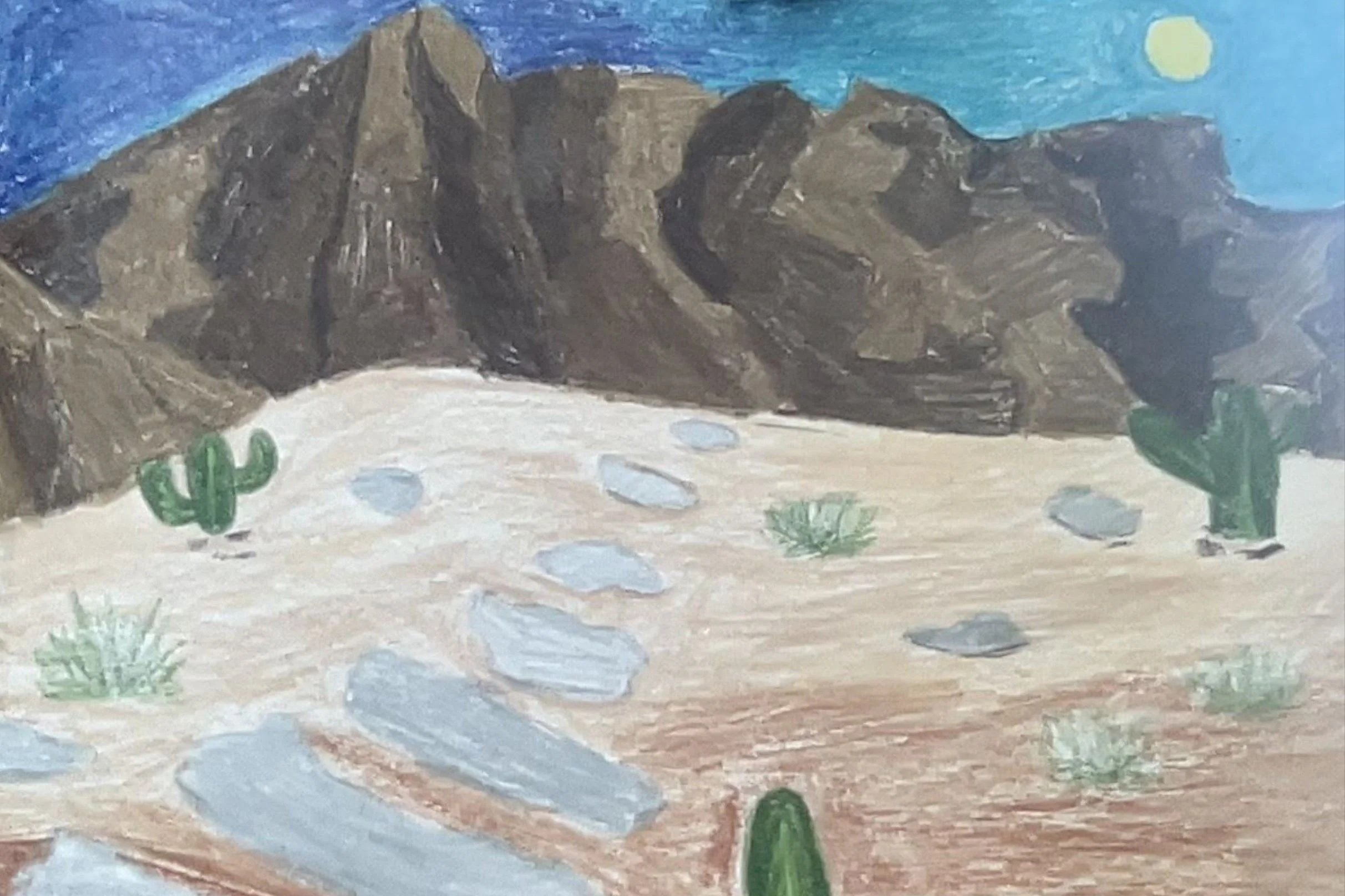 Dunham sixth grader named Artsonia's Artist of the Week