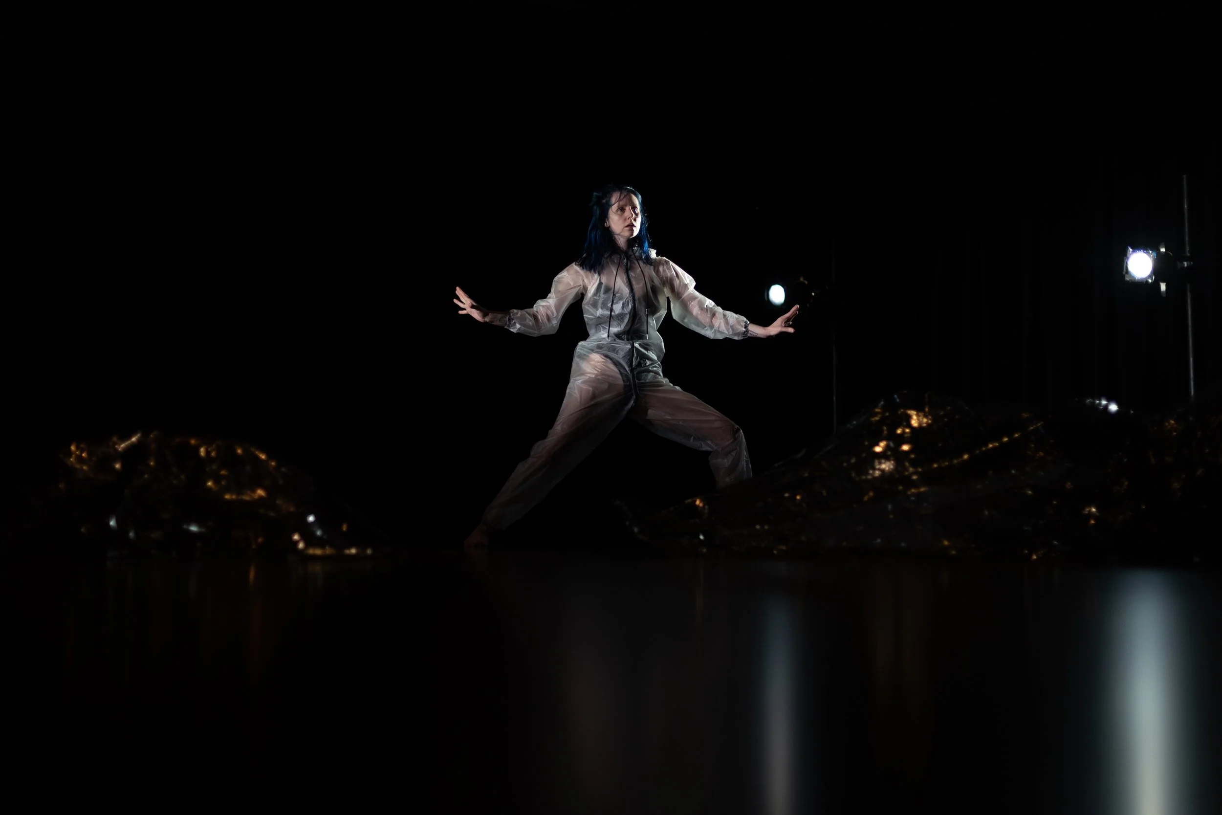 i am an impossible thing-02.jpg