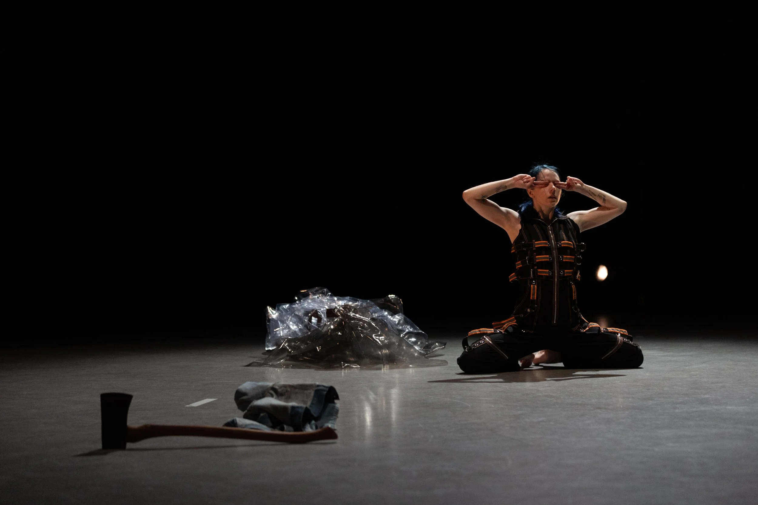 i am an impossible thing-12.jpg