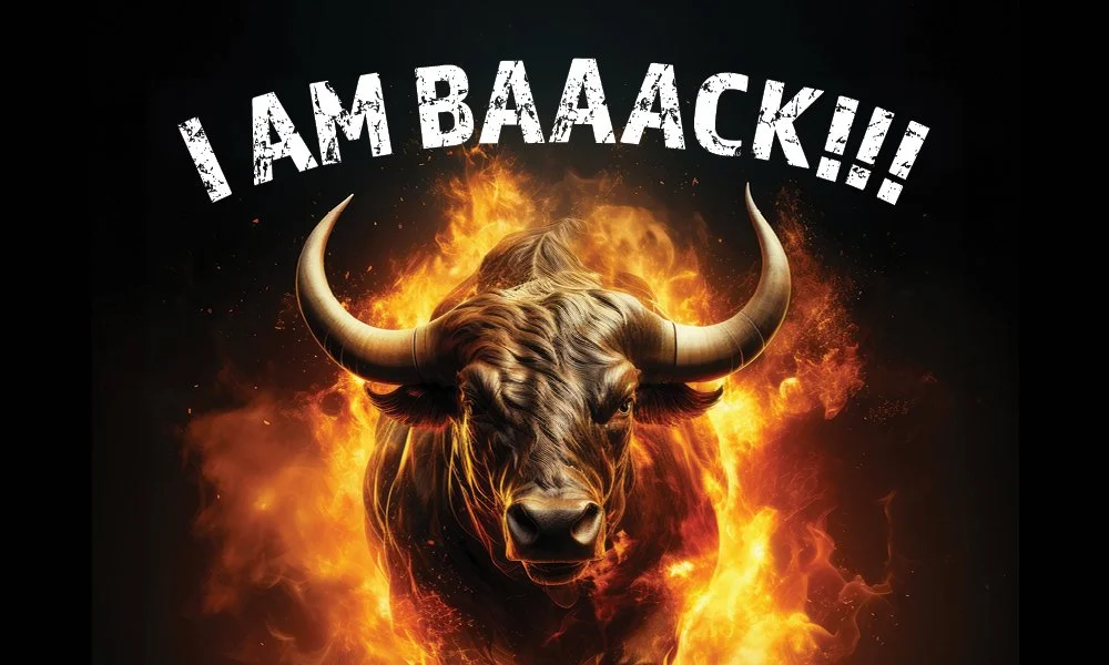 MECHANICAL BULL — Chayo Mexican Kitchen + Tequila Bar