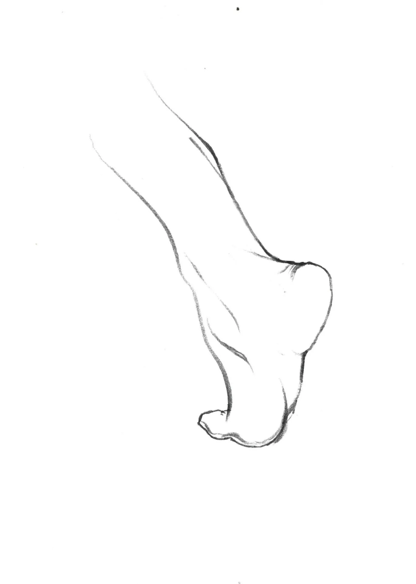 Foot, 2016