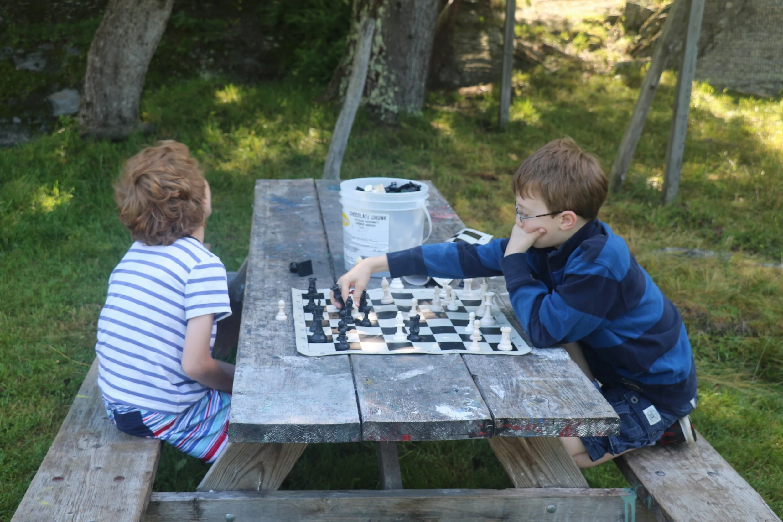 Playing chess