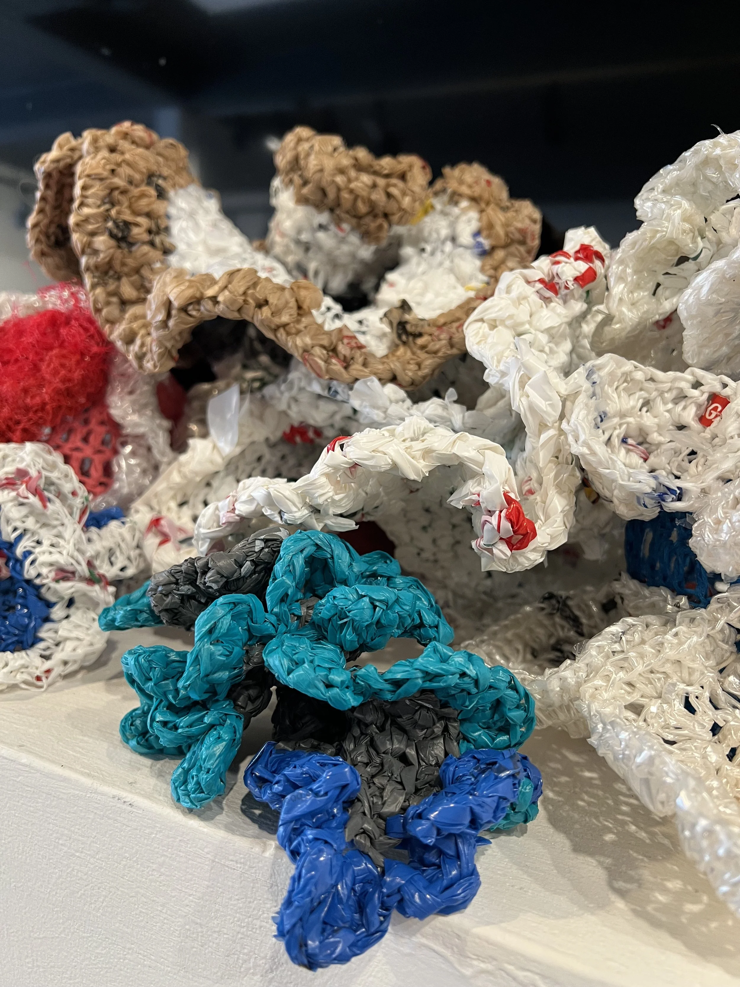 Gallery After Dark Plastic Free July &amp; Crochet Coral Club