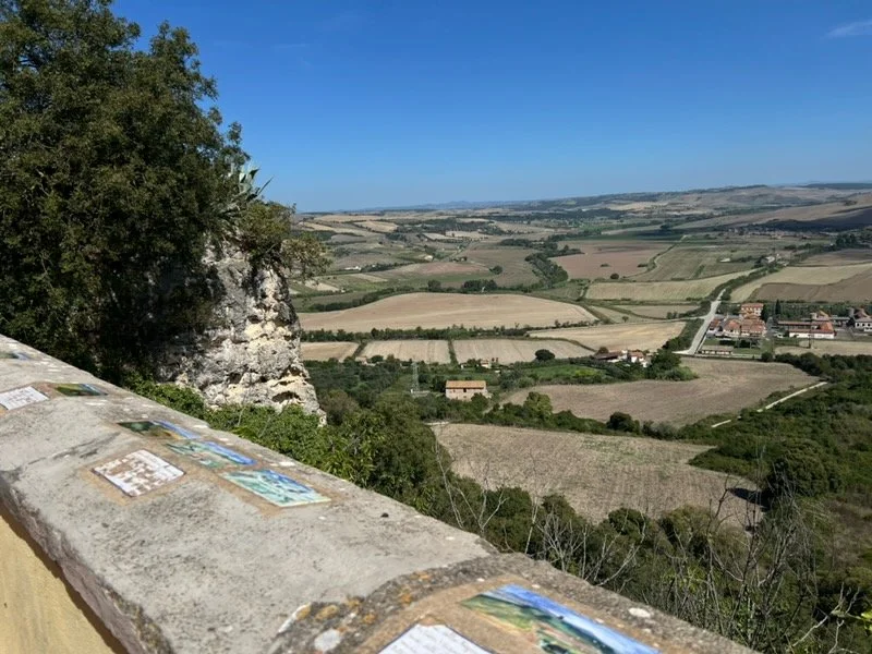 Join OPAL in ITALY, 2027!