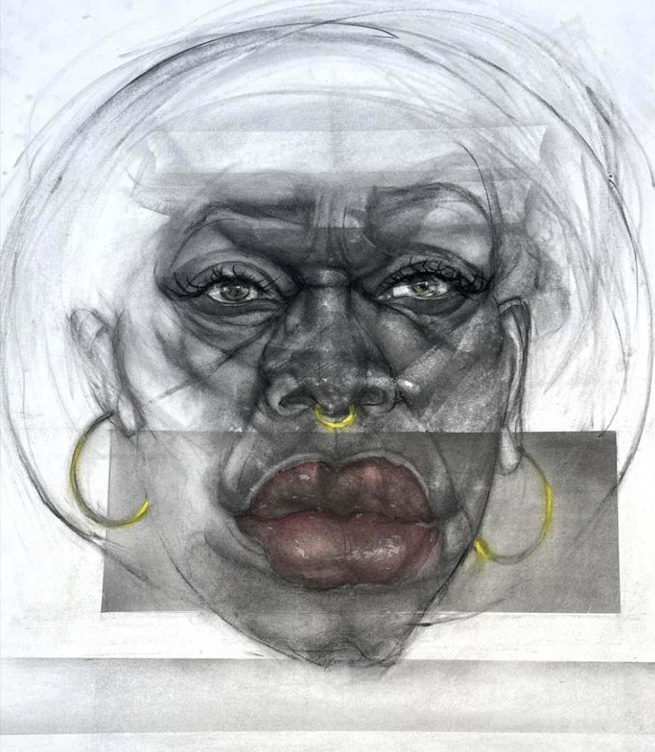 Spring 3 - BEGINNING TO ADVANCED DRAWING 