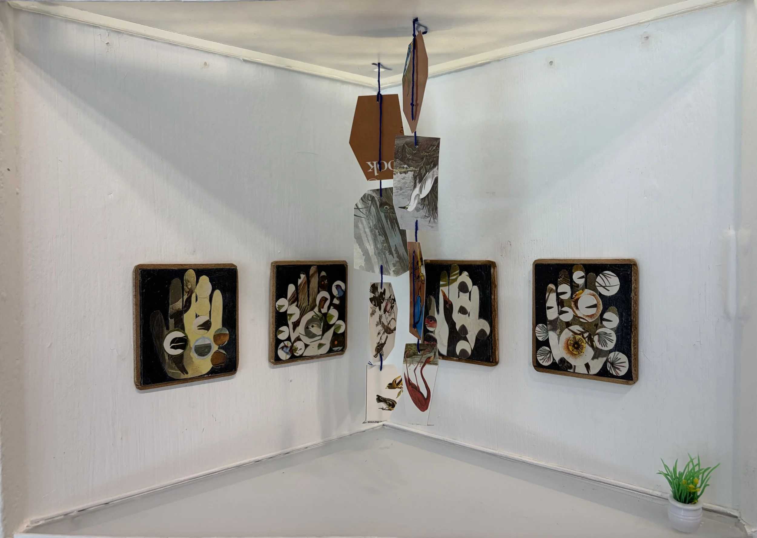 RECIPROCAL CAPTURE - Cathleen Cramer