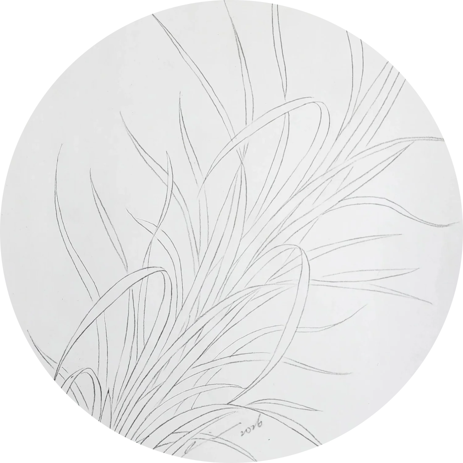 jan-the-art-of-line_circle.png