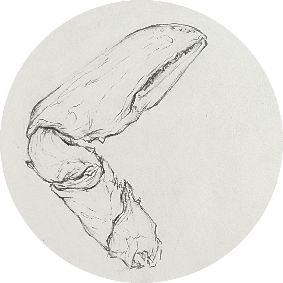 jan-the-art-of-form_circle.png