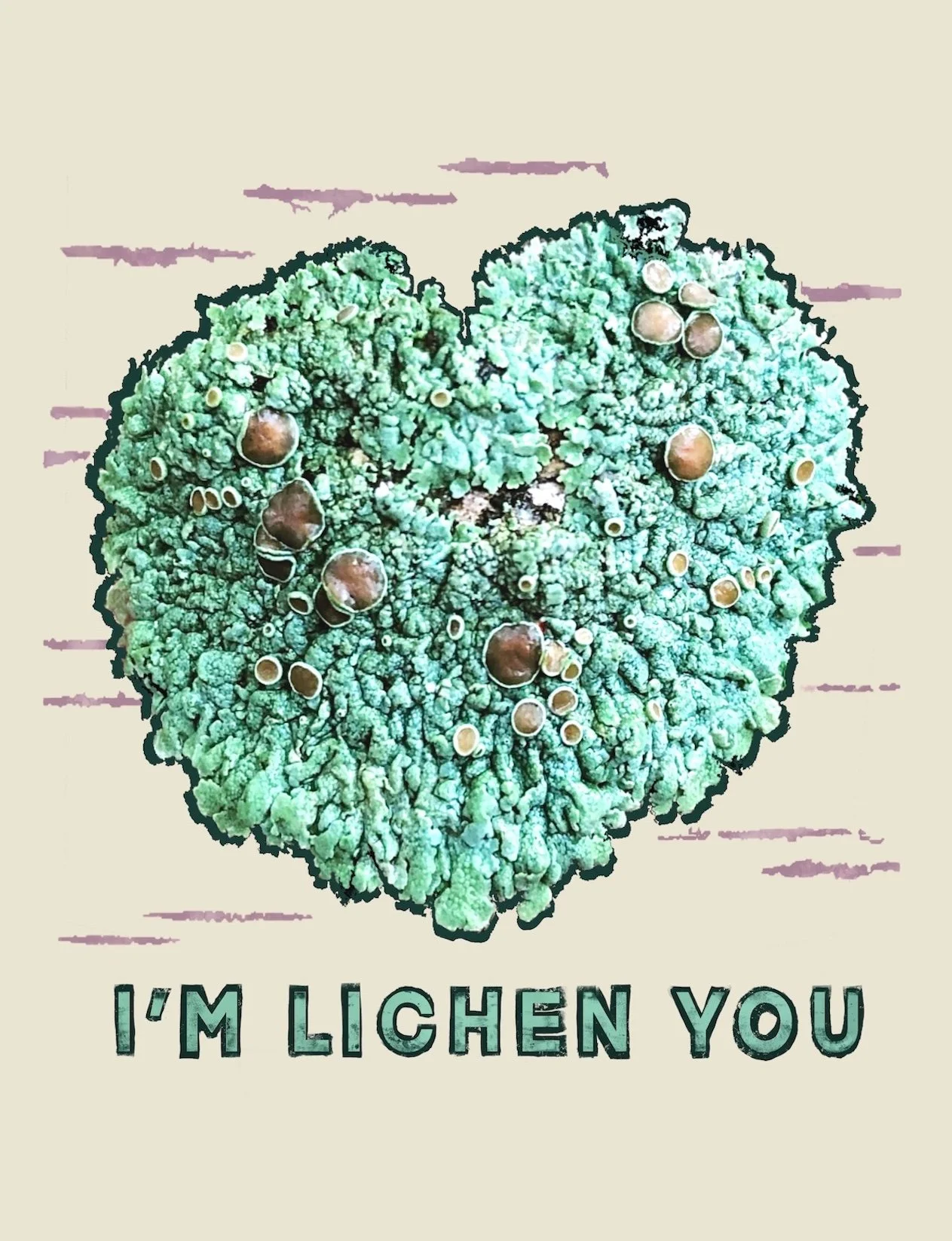 Lichen You.jpg