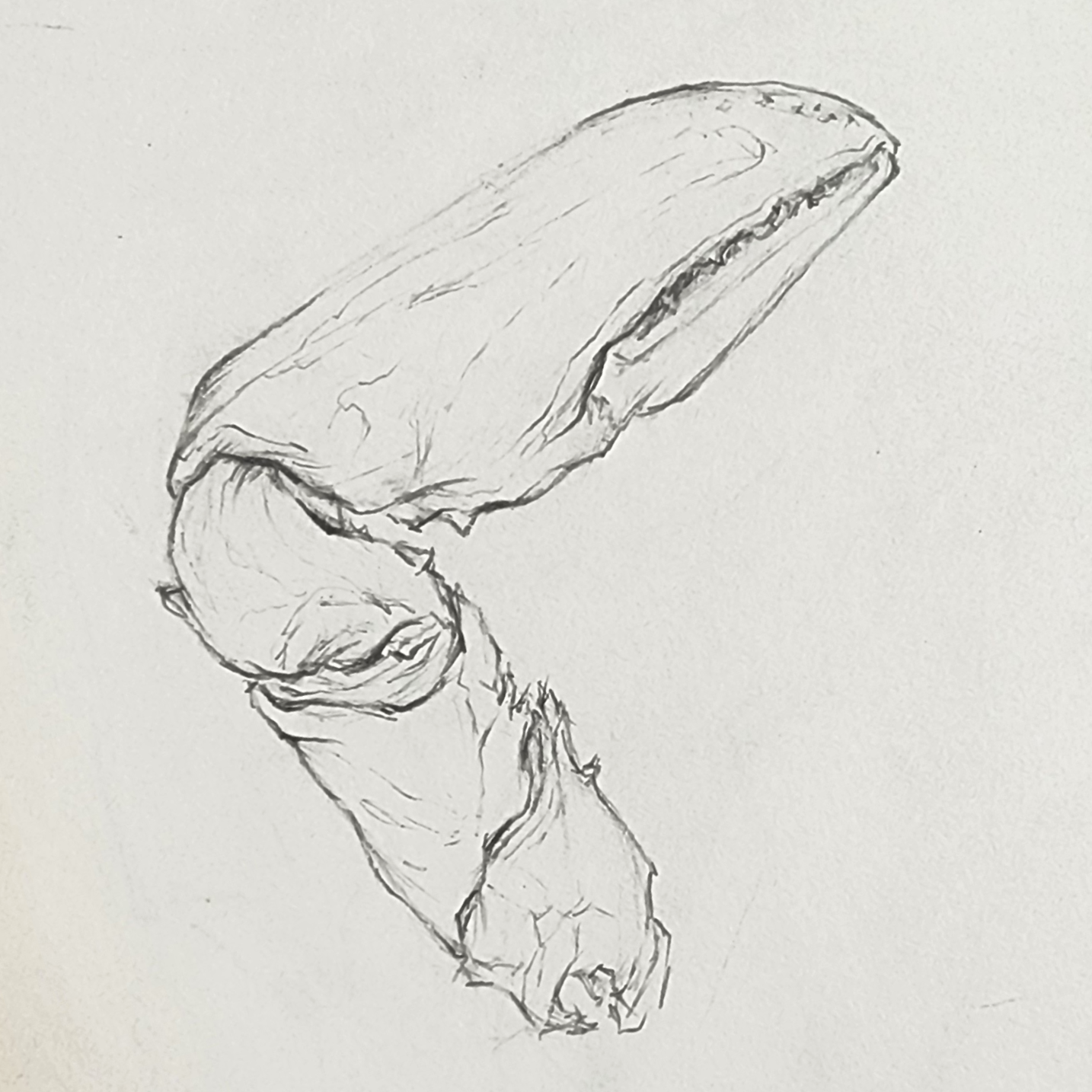 Summer 2 - The Art of Form