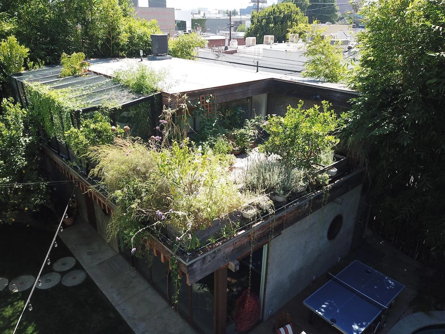 My little urban farm. This rooftop has changed so much in the past three growing seasons. After an exciting first planting, various pests robbed me of most of my harvest, so I built my enclosure. Integrating it into such an architecturally sophistica