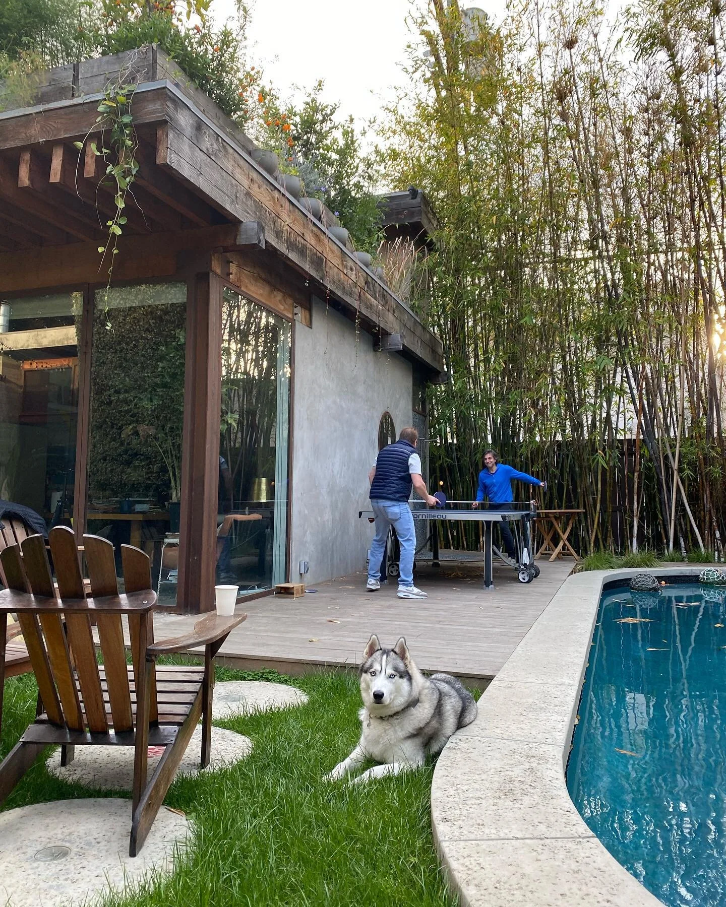 A ping pong table provides the perfect social distance. Dusk at the #zendustrial house. #whenthisisover you are all invited.