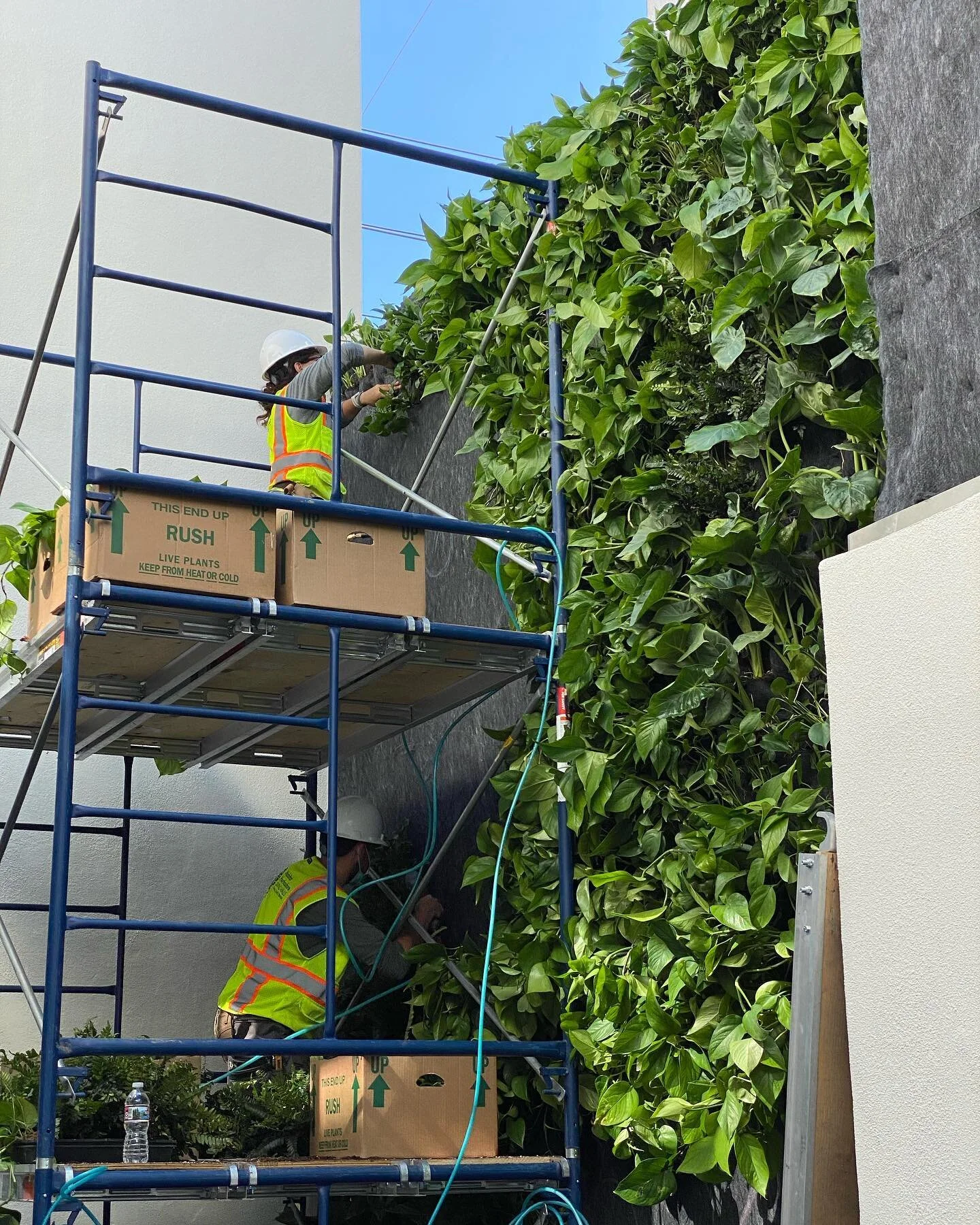 It&rsquo;s a thrill to collaborate with @habitat_horticulture for this living wall for a private residence in West Hollywood. The installation process is fascinating&mdash; the engineers cut the the felt and create individual pockets for the plants, 