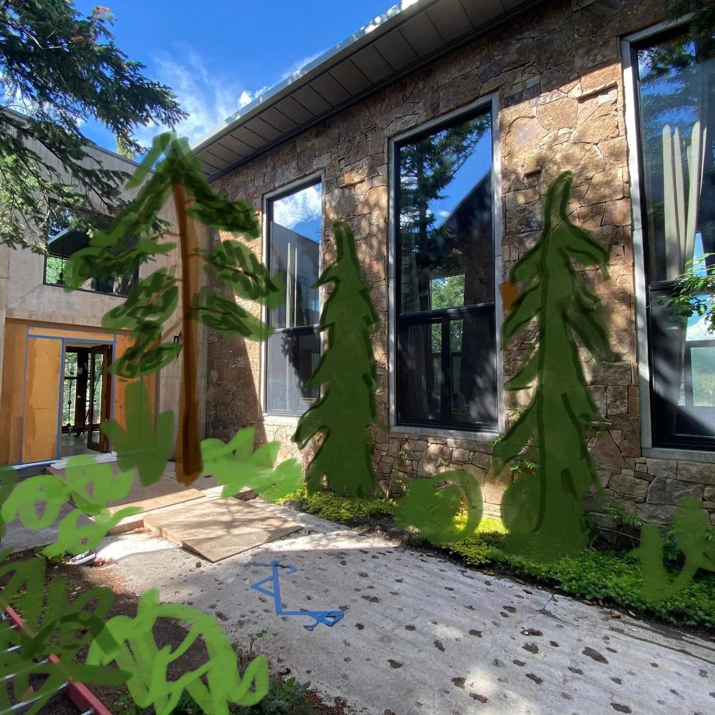 Working with a new palette on my project in Colorado. I&rsquo;m loving the vast selection of evergreens&mdash; white weeping spruce, mugo pines, and Siberian stone pine are forming the base for a few perennials that will come in on my next trip out. 