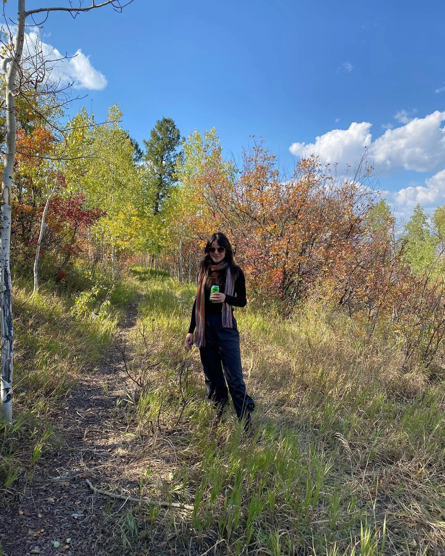 Fall colors in Aspen... gahhh 😍 Scrambling to get everything planted before real weather hits. Every time I come here I think &ldquo;This is my favorite season in Aspen.&rdquo; What a magical place. 🍂💫 #aspencolorado #landscapedesign #rockymountai