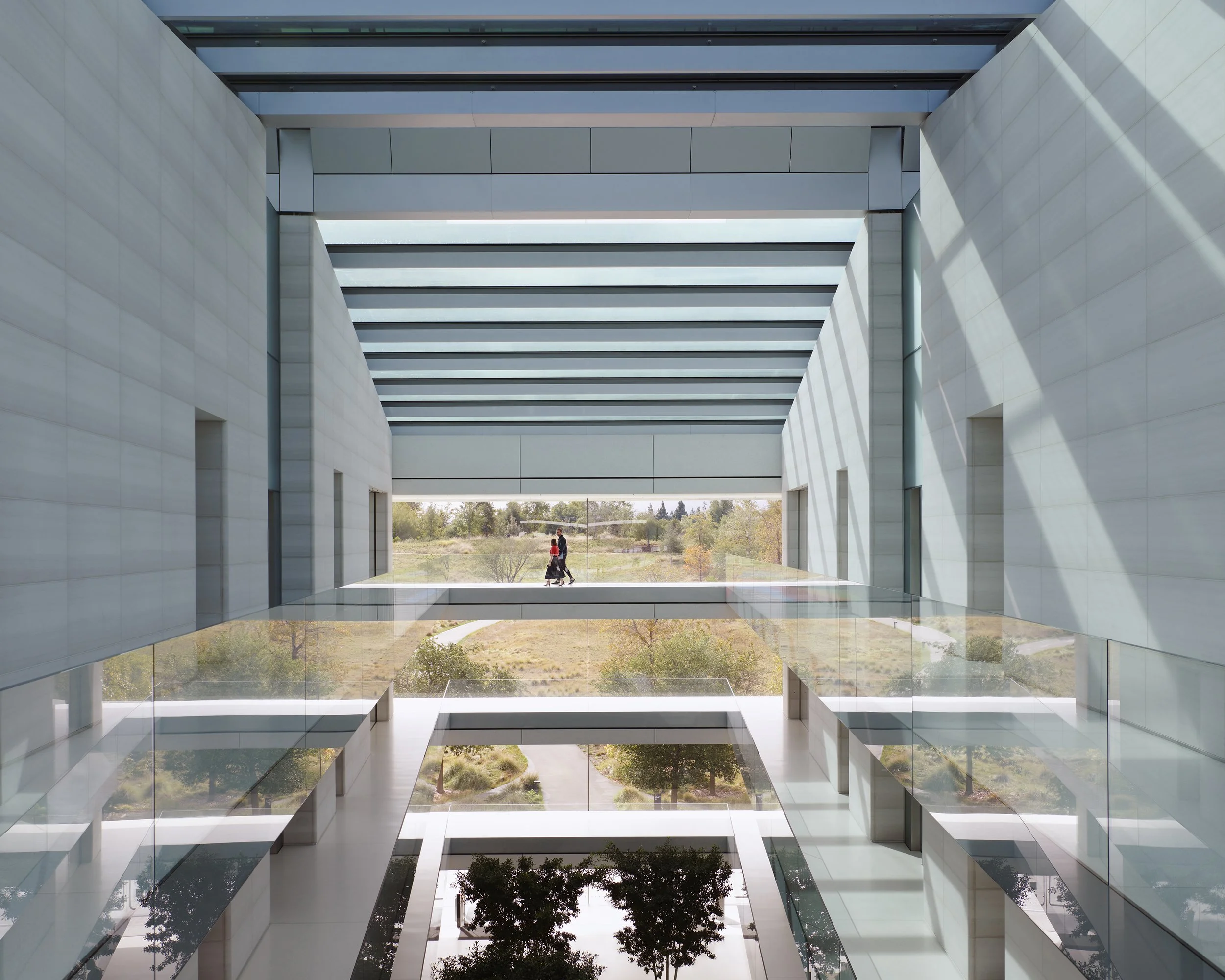 211109_Shiny-AP_JS_000352+359+389v2 4x5.jpg