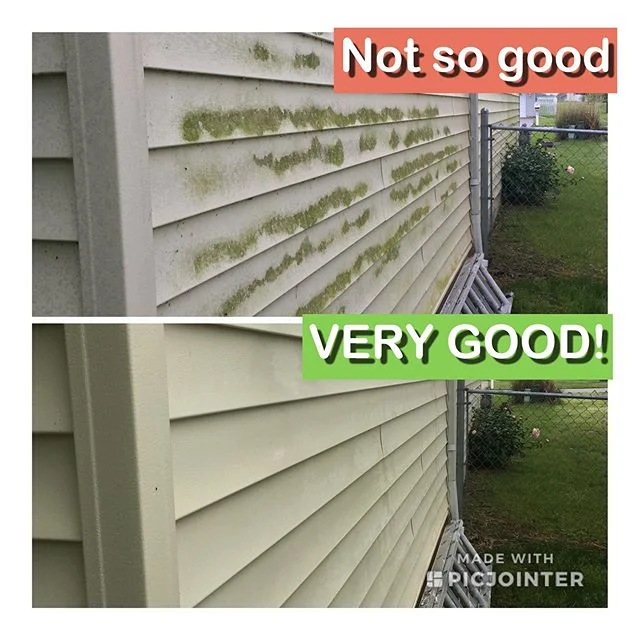 Let us get your house ready for those backyard BBQs!