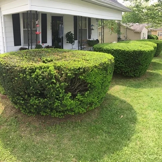 Things are really starting to shape up around here. Let us see what we can do for you.