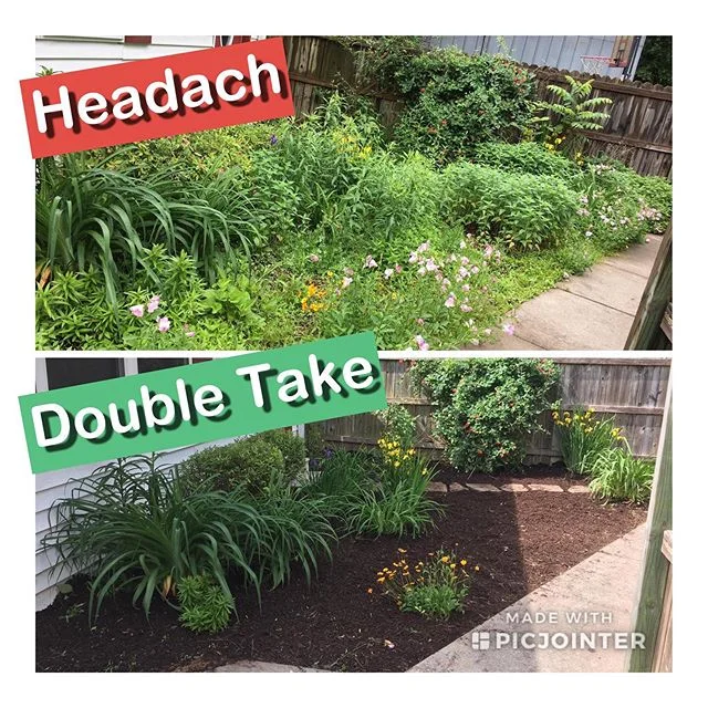 Proud of what the landscaping crew has been able to accomplish this year. God has provided for me in ways I couldn’t have dreamed. Thanks landscaping crew!