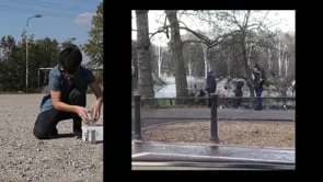 Pigeon (2 minute excerpt)