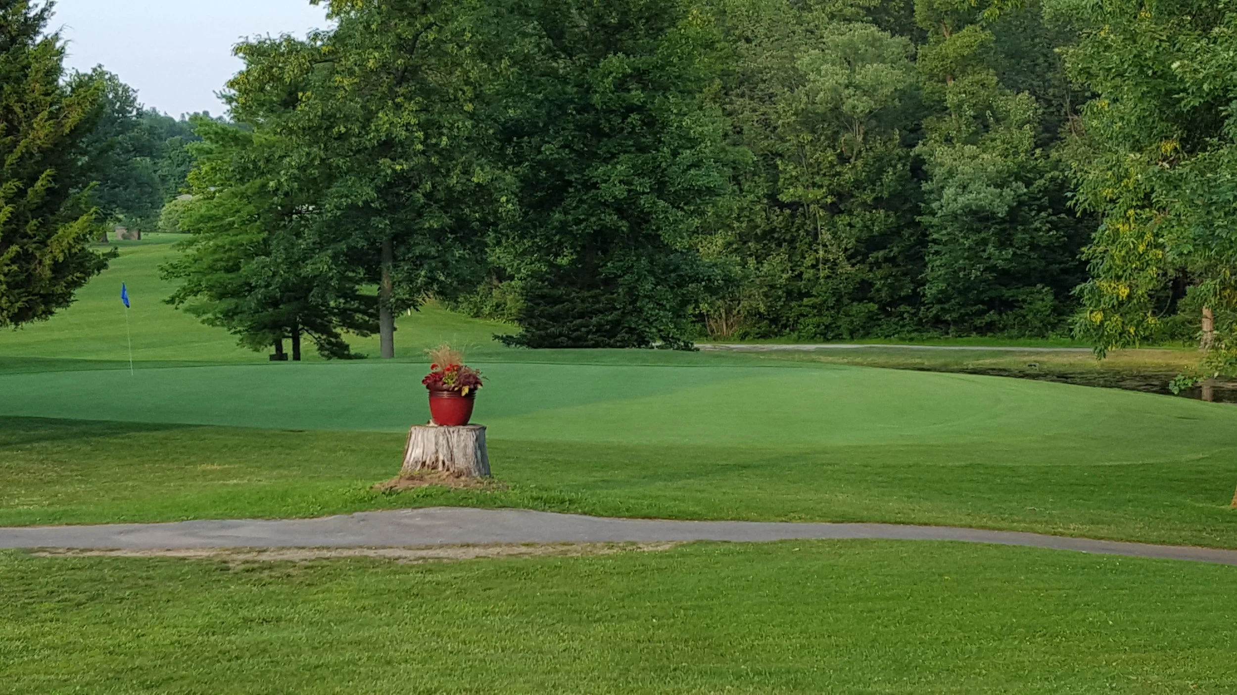 20150713_193402.jpg