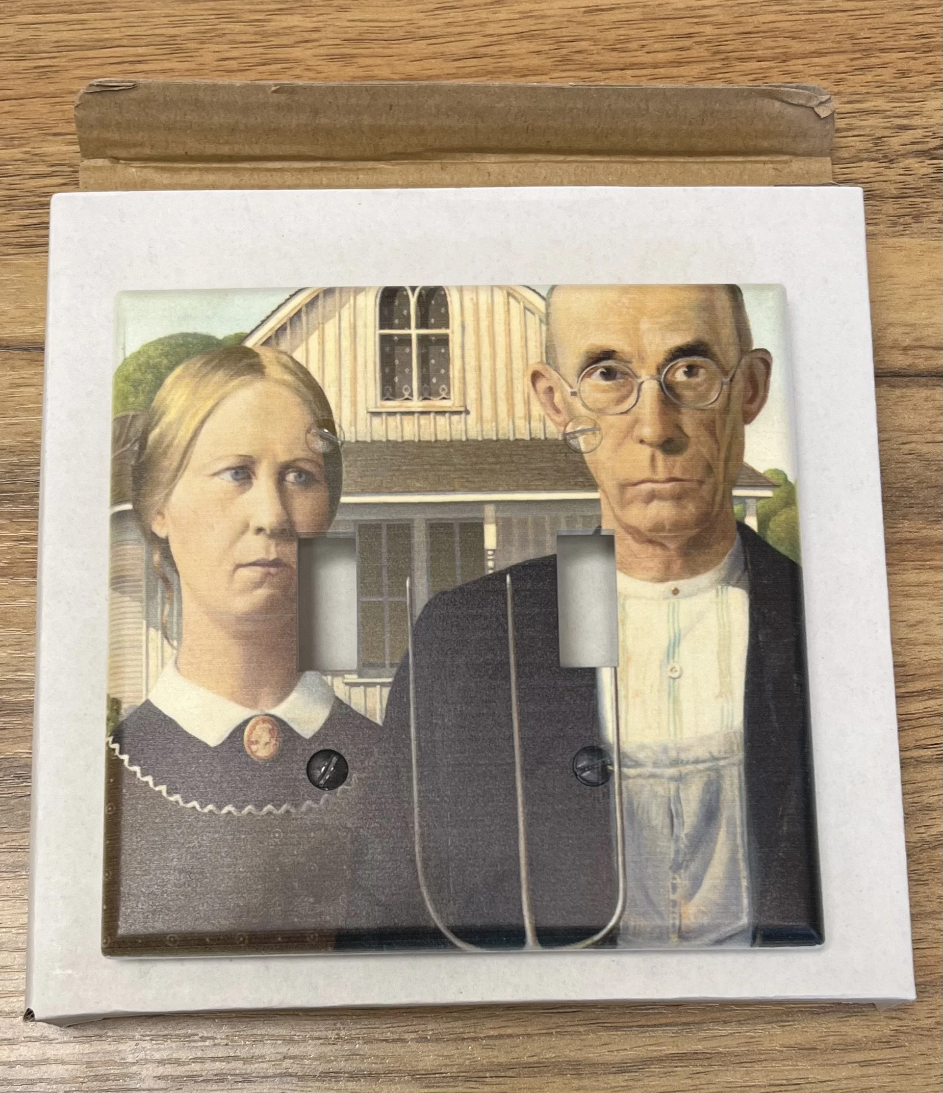 AG Switch Plate Cover (Double).jpg