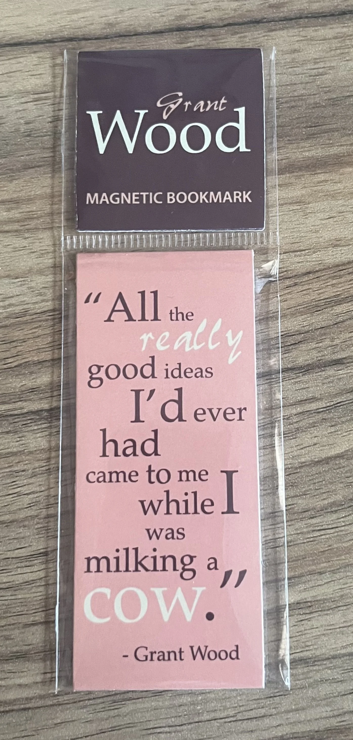 Really Good Ideas Magnetic Bookmark.jpg