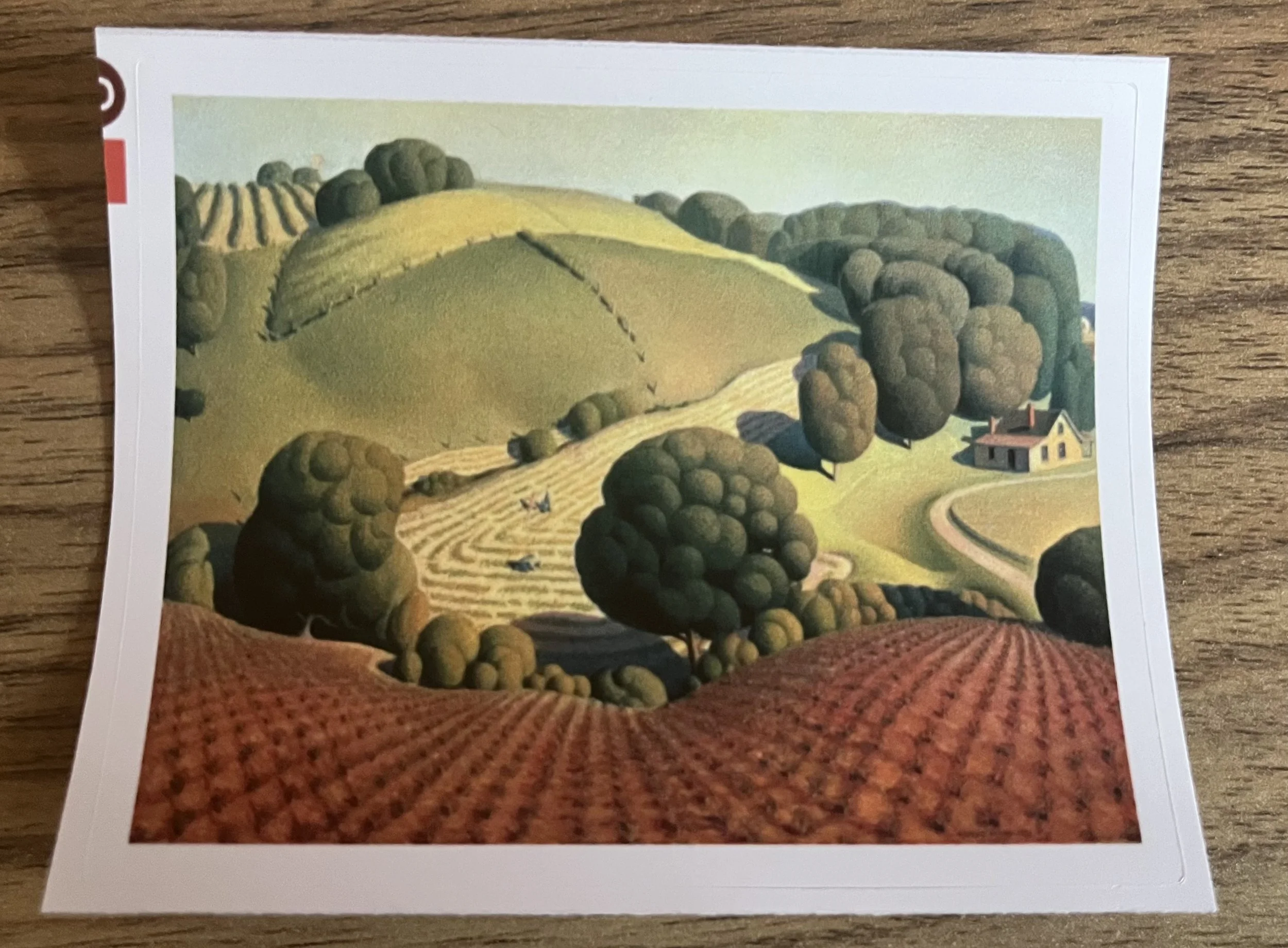 Young Corn Sticker.jpg