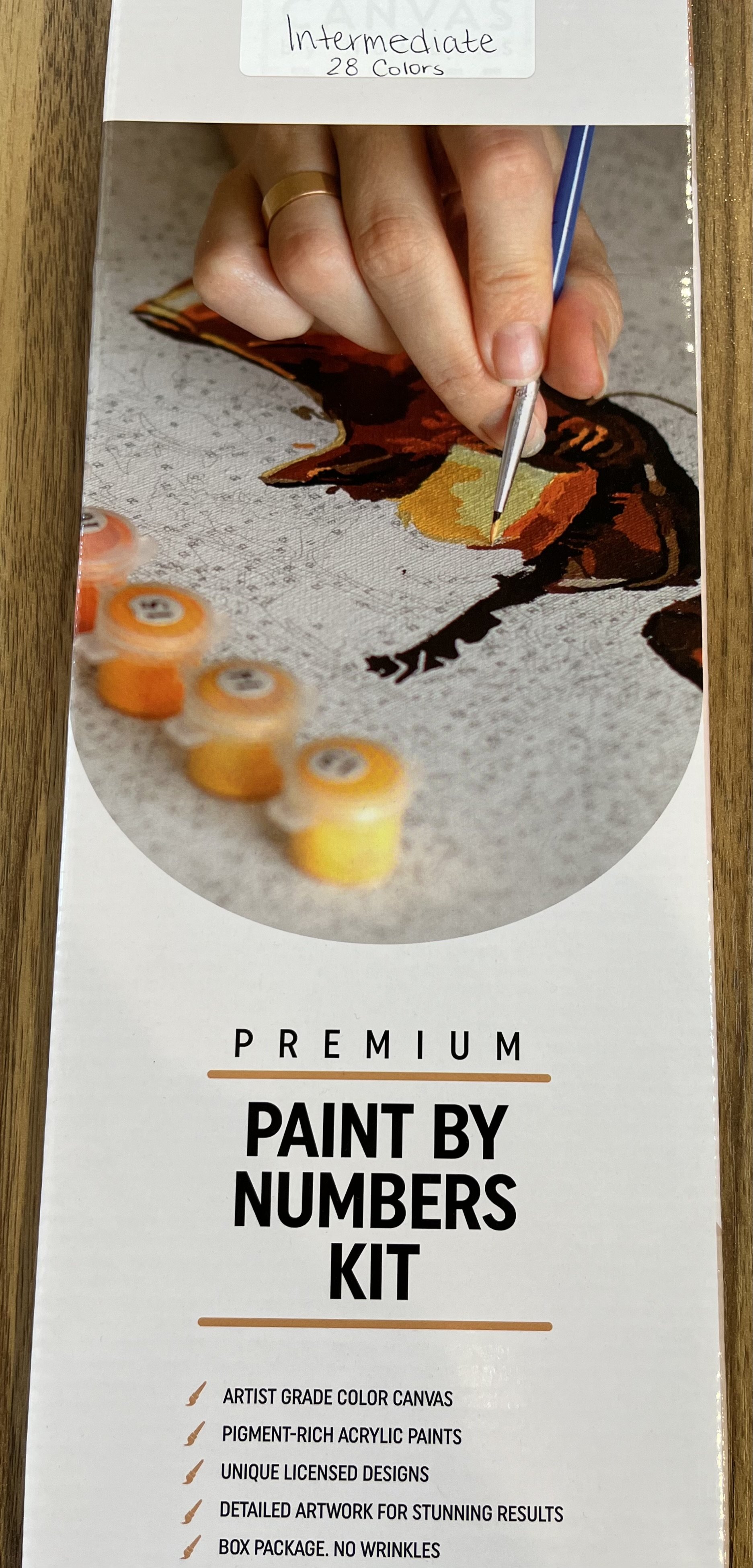 Paint by Number Kit Up Close 1.jpg