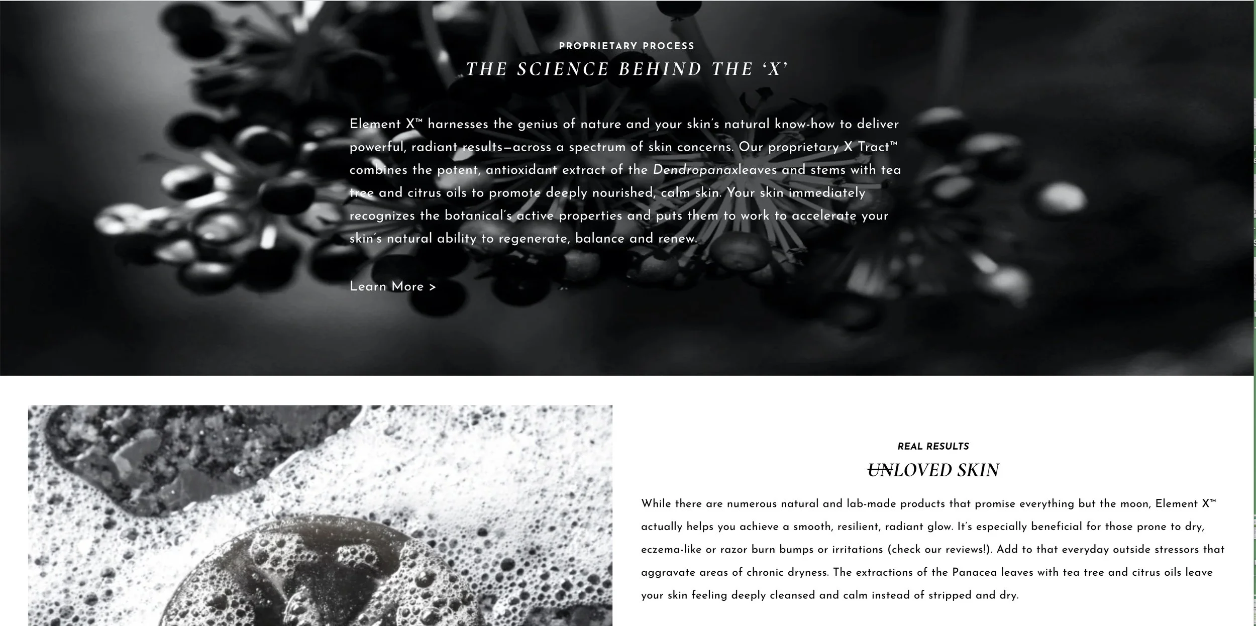 ELEMENTX -ABOUT2.jpg