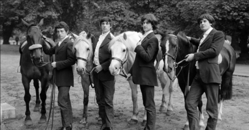 Kinks+horses.png