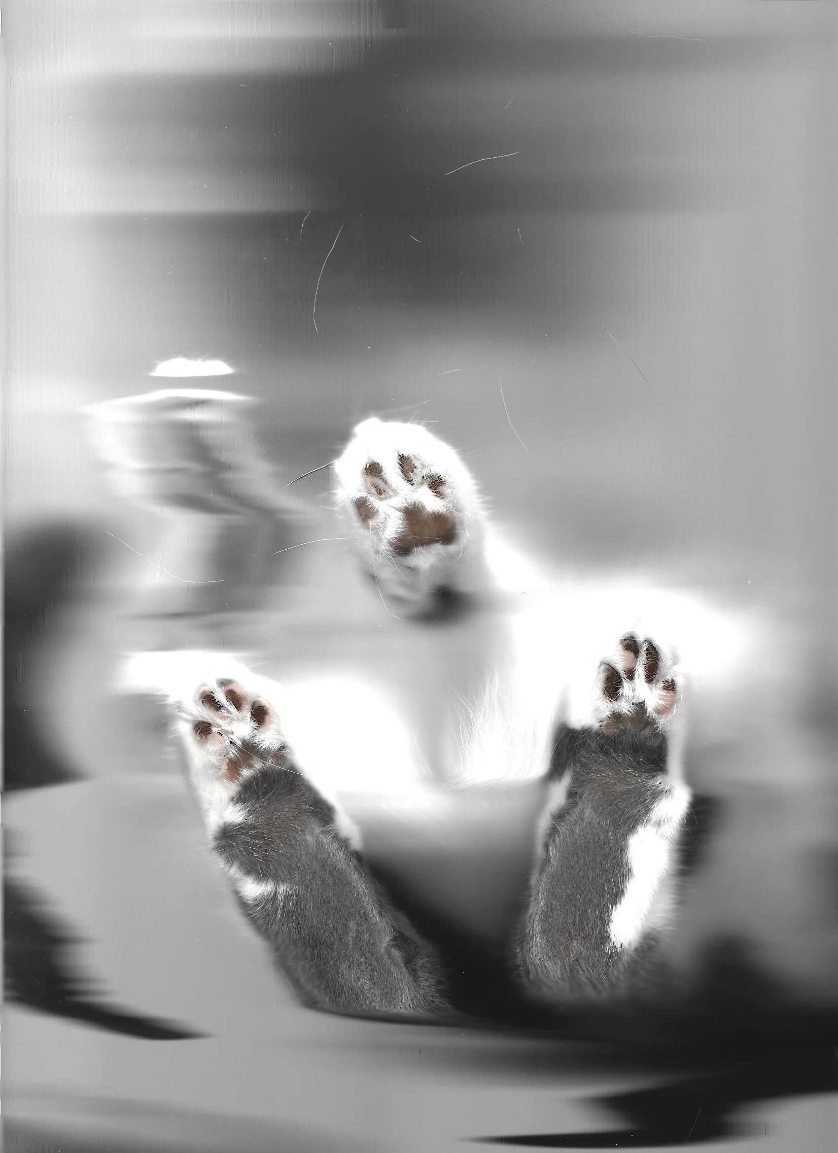030525_Pawlowski_2.jpeg