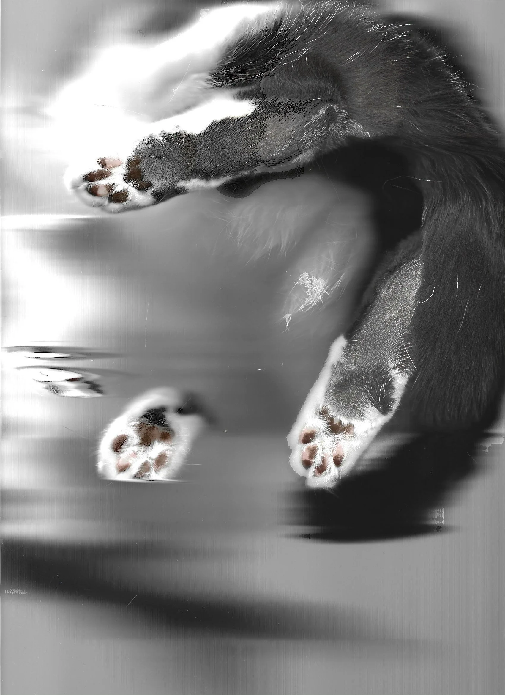 030525_Pawlowski_3.jpeg