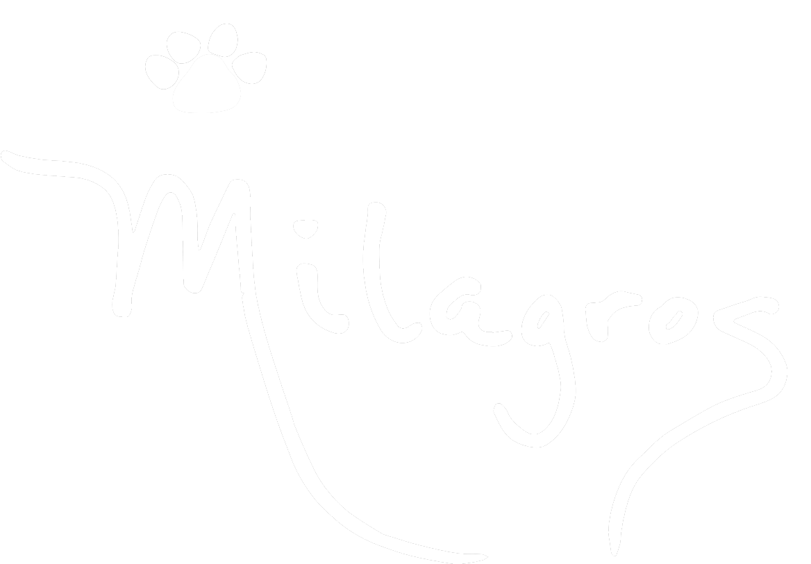 Pet Portraits by Milagros and More