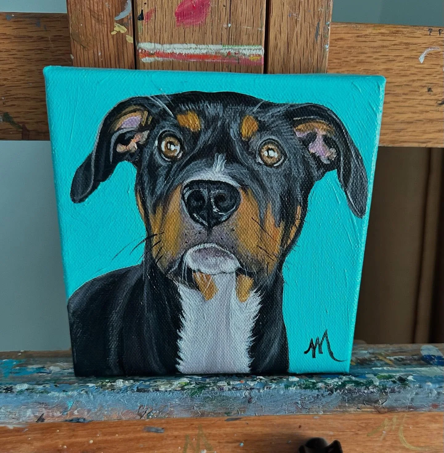 Isn&rsquo;t Rohan a handsome boy? We think he likes his portrait! 😜 #birthdaygift #petportraitartist #petportraitsofinstagram #dog #dogart #rottiemix #cutedogsofinstagram #dogart #dogartist #petportraitsbymilagros #petportraitsbymilagrosandmore