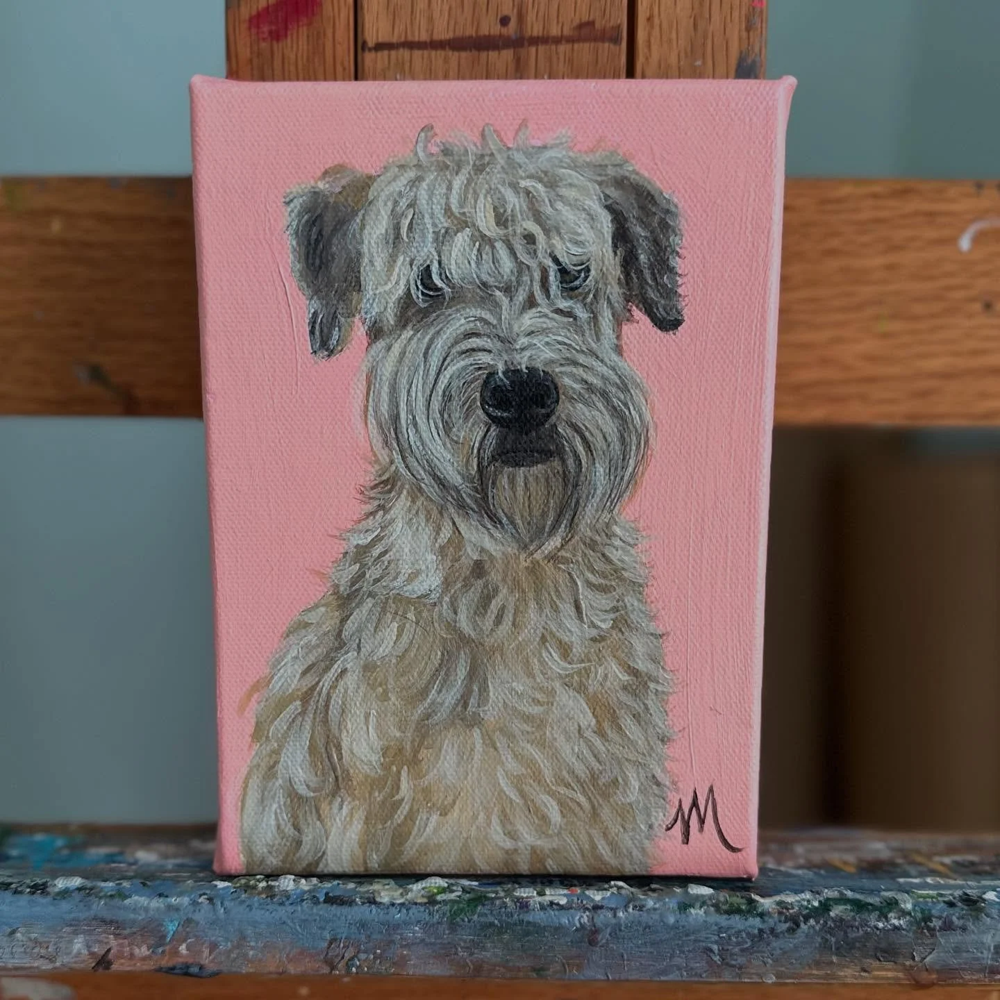 This is sweet Shirley Temple! She&rsquo;s a cute Wheaten Terrier that lives in NC! Cant wait for her family to get this portrait gift! 🎁❤️ 🐕 #wheatenterriersofinstagram #wheatensofinstagram #wheatenterrierbreed #dogart #petportraits #petportrait #p