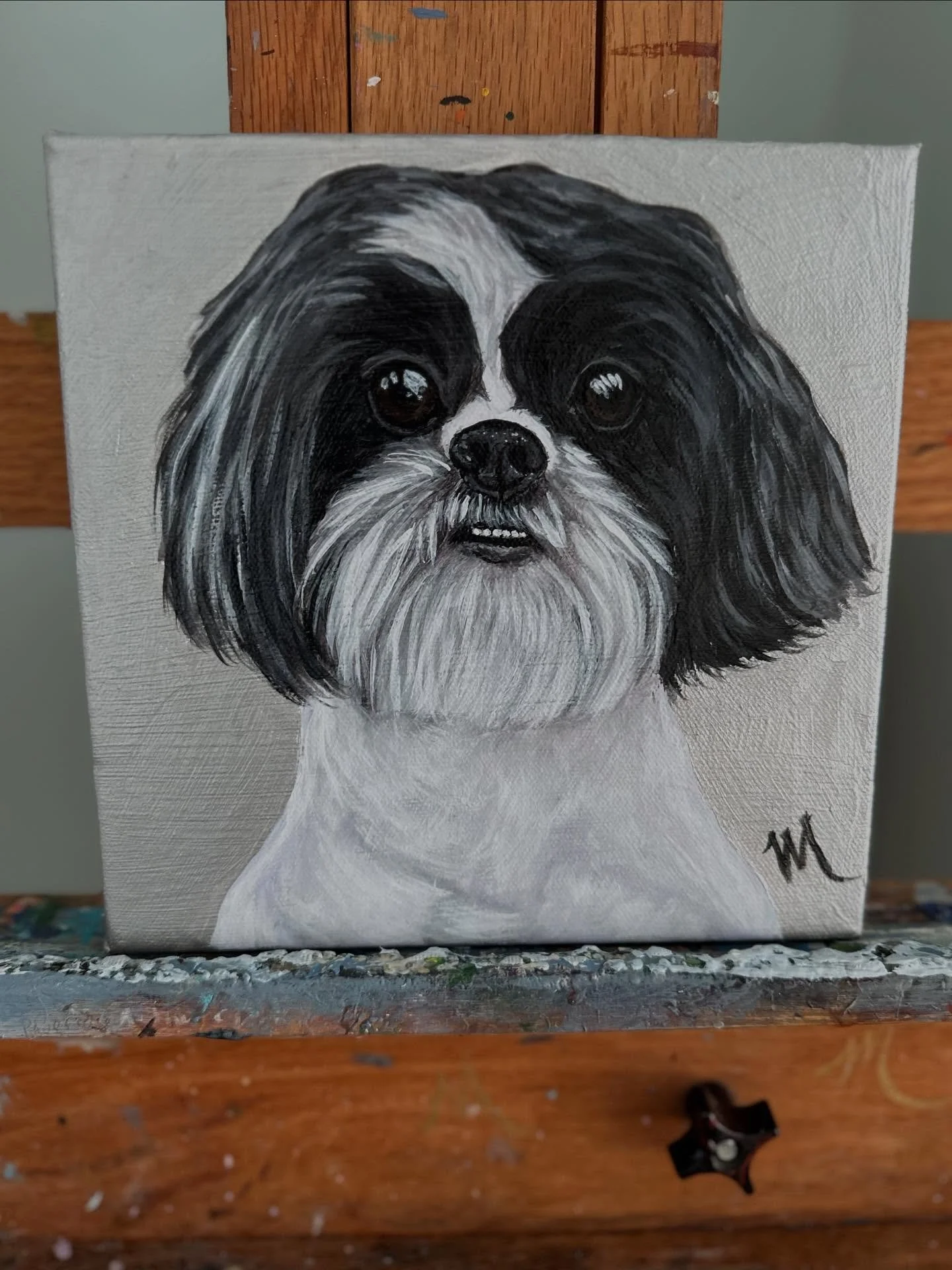 Sumo was the first dog that my husband and I bought as a couple! He was our spoiled little Shi Tzu who we loved dearly! He was actually the first dog that my husband owned since he didn&rsquo;t have dogs growing up! Unfortunately Sumo battled kidney 