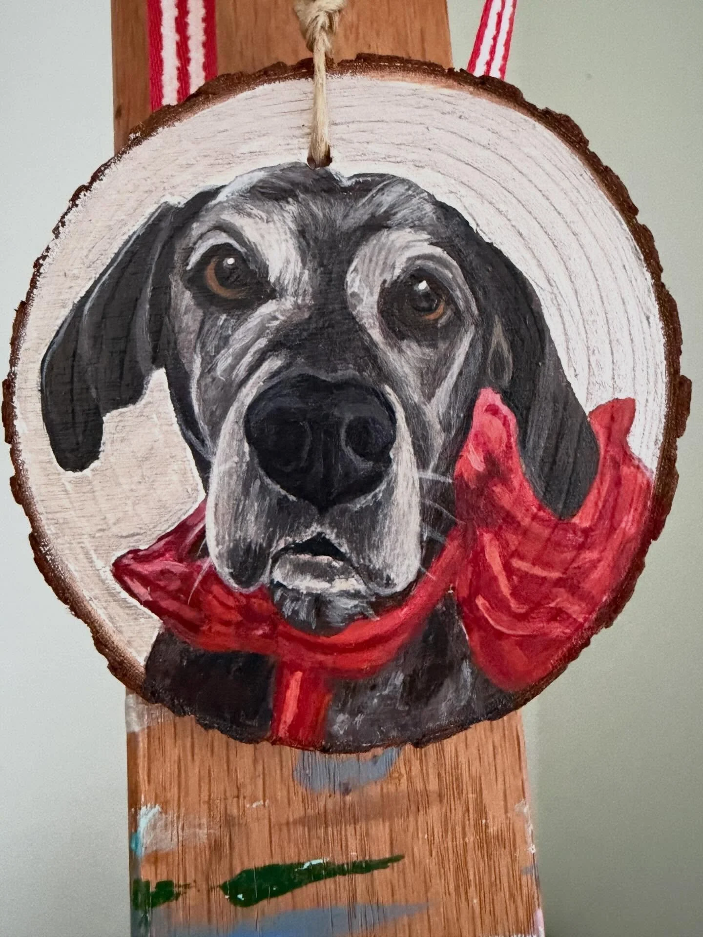 This sweet doggie is so missed by her family! My client is gifting this to her owner for Valentines Day! I have the most thoughtful clients! ❤️ #valentinegift #petpotraits #petportraitsbymilagros