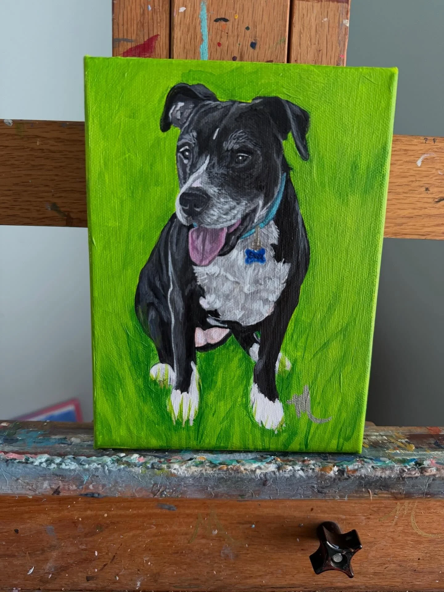 Sissy was such a great family dog! She was a loyal protector that will not be forgotten! 🌈 #whorescuedwho🐾 #blackdog #labmix #petportraitsbymilagros #petportraitsbymilagrosandmore
