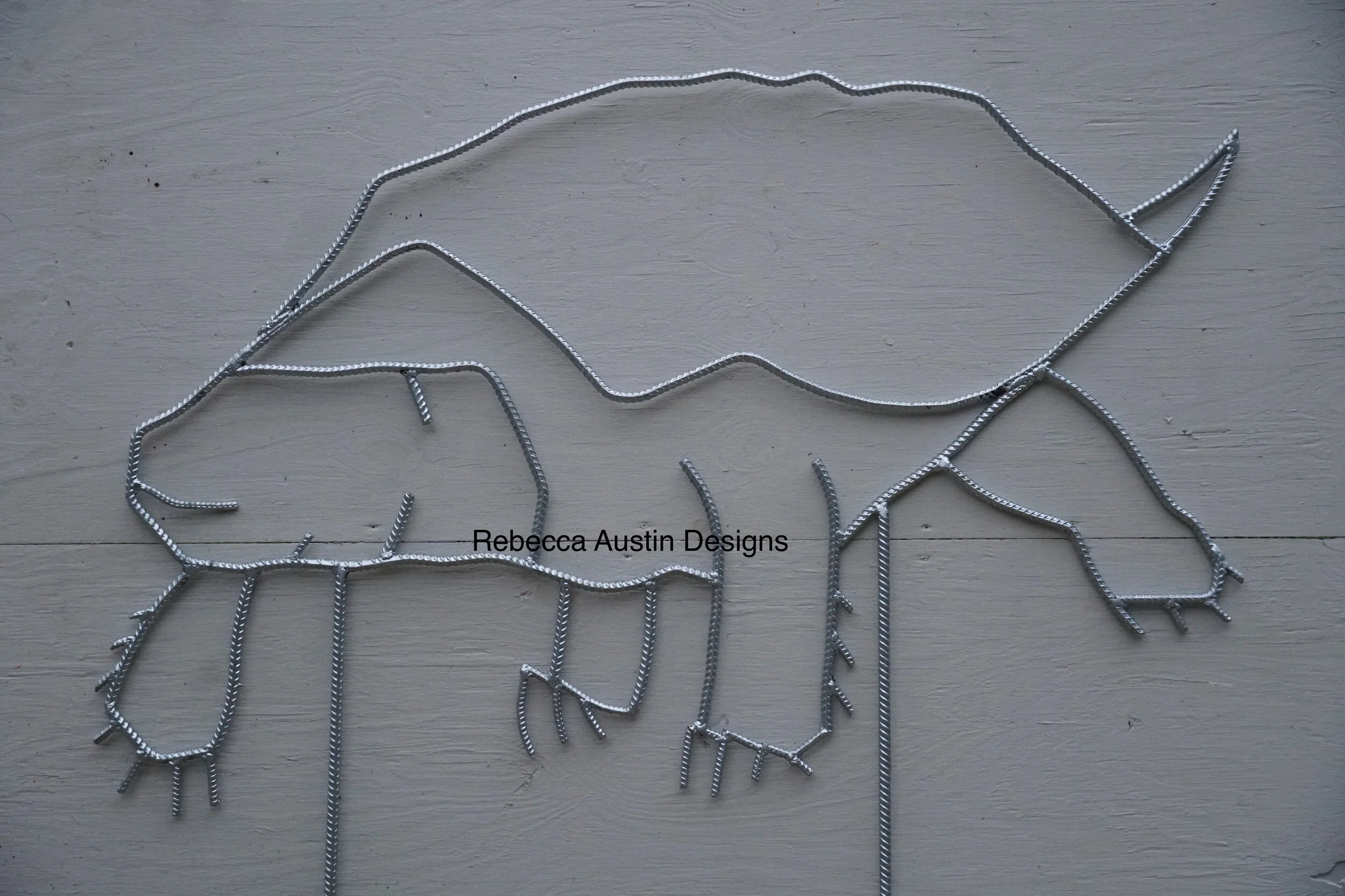 T4-Florida Snapping.JPG